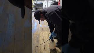 Applying wood sealer to the trailer deck [upl. by Doomham]