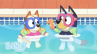 Las aventuras soleadas de Bluey ☀️  Episodios completos  Bluey 💙 Español Canal Oficial 🇪🇸 [upl. by Amling355]