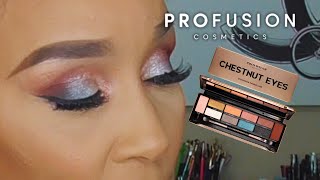 PROFUSION 3 EYESHADOW PALETTE  EYES TIN CASE  CHESTNUT PALETTE  Review and Tutorial [upl. by Avlis]