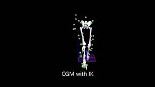 Comparison of gait models  CGM with IK [upl. by Gowon]