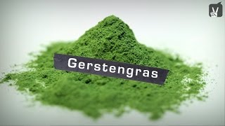 Gerstengras – Welche Wirkung hat Gerstengras [upl. by Nader732]