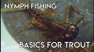 Nymph Fishing Basics for Trout [upl. by Epilef243]