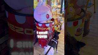 Dog’s First Time In An Arcade  pet friendly Timezone Philippines  photobooth shorts [upl. by Tirrell]