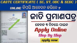 How to Apply Caste Certificate Online 2024  Caste Certificate Apply Online in Odisha [upl. by Yaakov]