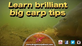 Brilliant carp tips and action [upl. by Akira]