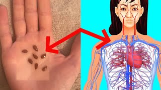 What Happens To Your Body When You Start Eating Flax Seeds Daily [upl. by Blim276]