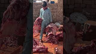 Pakistans Special Wedding Food Preparation  Mutton and Beef Qorma for Guest [upl. by Hazel]