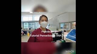 Pemeriksaan ANA TEST [upl. by Kelam661]