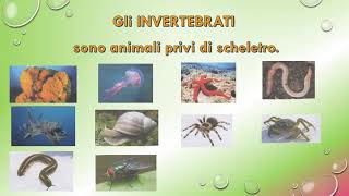 CLASSIFICHIAMO GLI ANIMALI [upl. by Ifar]