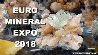 Minerals amp Fossils EuroMineralExpo 2018 Turin International Exhibition Minerali e Fossili 1 [upl. by Munniks955]