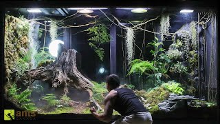 A War Broke Out in My Giant Rainforest Vivarium [upl. by Elocaj]