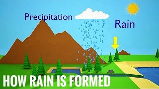 how rain is formed  water cycle Animation [upl. by Nuahsyar]