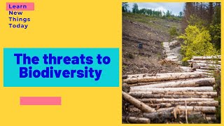 The threats to Biodiversity biodiversity climatechange pollution [upl. by Akinwahs]