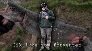 Rens  Det hjalp at skifte fiskestang🎣🎣 [upl. by Jarret]