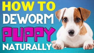 How To Deworm a Puppy Naturally – Best Home Remedies Hacks  Smart Dog Mom [upl. by Kcinemod141]