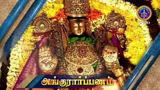 Srivari Varshika Brahmotsavam  Ankurapanam  Date Promo  SVBC2 Tamil  03102024 [upl. by Enaira]