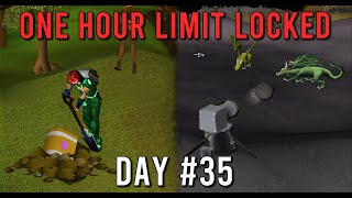 Who needs bots when you have a cannon  S1 E35  OSRS [upl. by Benedikt]