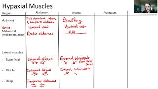 2230 F22  Hypaxial Muscles Supplement Part 1 [upl. by Nananne632]