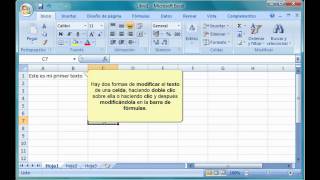 Excel 2007 2 Introducir y modificar texto [upl. by Phyllis]