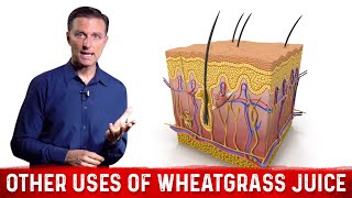 Benefits and Uses of Wheatgrass Juice Powder for Skin Problems – Dr Berg [upl. by Adlee670]