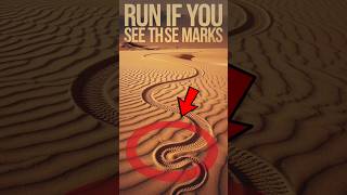 Run If You See These Marks ANYWHERE 😨 shorts viralvideo [upl. by Edyak]