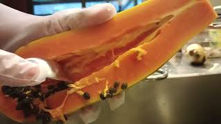 Cutting ripe papaya very sweet fruit sunriselovetv8860 [upl. by Eveivenej]