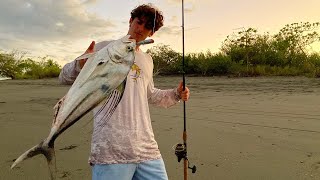 Surfcasting Poppers to CATCH OUR FOOD Roosterfish Catch amp Cook  Day 4 Camping in Costa Rica [upl. by Dohsar]