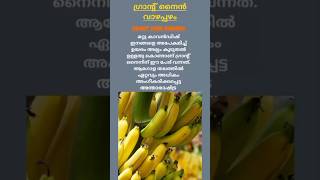 കൃഷി അറിവുകൾ  Vazha krishi  Banana farming shorts [upl. by Obidiah]