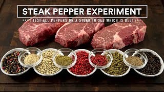 Which PEPPER is BEST for STEAKS The STEAK PEPPER Experiment [upl. by Rodrique]