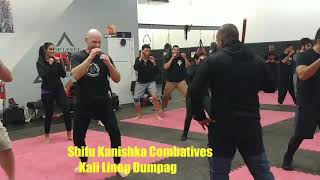 Shifu Kanishka Dumog Seminar  America [upl. by Muncey]