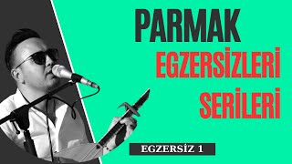 102 DERS  PARMAK EGZERSİZLERİ SERİLERİ 1 [upl. by Nnaylloh220]