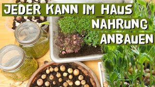 Gärtnern im Haus im Winter  Aussaat und Ernte Microgreens Keimsprossen Kräuter  Indoorgardening [upl. by Hoffarth518]