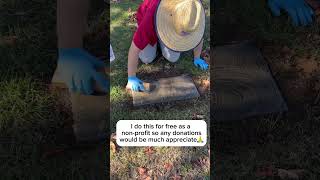 Preserving this WWI veterans grave marker🇺🇸🇺🇸 Grover C Hartenbower usa restoration patriot [upl. by Ayikat]