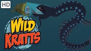 Wild Kratts  Dive into the Atlantic Ocean [upl. by Stock]