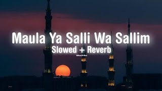 Maula Ya Salli Wa Sallim  Slowed  ReverbNaat New [upl. by Olimreh]