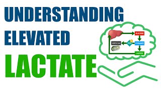 Understanding Elevated Lactate [upl. by Grae]