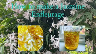 How to make Jasmine Enfleurage [upl. by Eceinhoj]