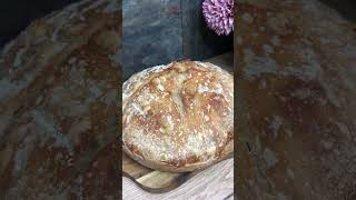 Sauerteigbrot im Topf gebacken shortsfeed [upl. by Pierce]