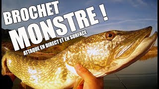 IL PECHE LE PLUS GROS BROCHET DE SA VIE  102 cm [upl. by Yruok554]