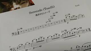 トセリ「嘆きのセレナーデ」チェロ演奏用  Toselli quotSerenadequot for cello players [upl. by Beilul]