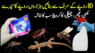 Get rid of mouse Mosquito Flies with homemade spray  Mosquito killer  Powerful Insects Killer [upl. by Leummas]