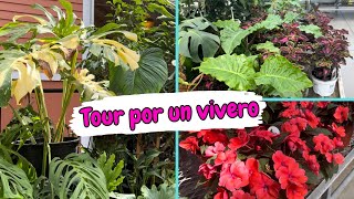 TOUR POR UN VIVERO de mi ciudad [upl. by Lohman507]