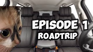 CAT MEMES FAMILY ROADTRIP COMPILATION [upl. by Gievlos301]