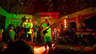 Slightly Stoopid  If You Want It feat Miguel of Perro Bravo  Live at Closer to the Sun 2016 [upl. by Bello]