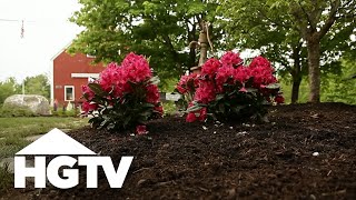 All About Azaleas  Gardening Tips  HGTV [upl. by Schreck]