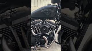 Sawicki exhaust  Harley Sportster Iron SampS 1250 big bore  Hammer 560 cams [upl. by Norine]