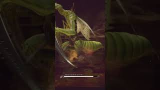 🐒Mono vs Mantis religiosa gigante blackmyth wukong game games gameplay gaming ps5 steam [upl. by Ellyn]