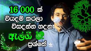 SUNSUN CUV118 UVC Clarifying Sterilizer UV Light Unboxing Algae Problem  ඇල්ගී ප්‍රශ්නේට විසදුමක් [upl. by Wendell515]