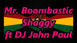 Mr Boombastic REGGAE  Shaggy  DJ John Paul [upl. by Derfiniw556]