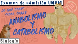 Anabolismo y Catabolismo  Biología UNAM [upl. by Adaynek697]